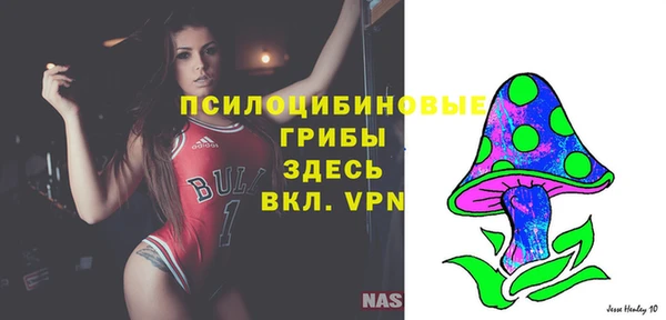 крисы Верхнеуральск