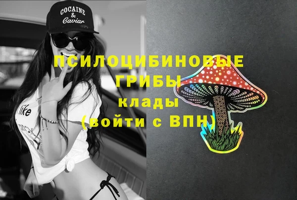 СК Алексеевка