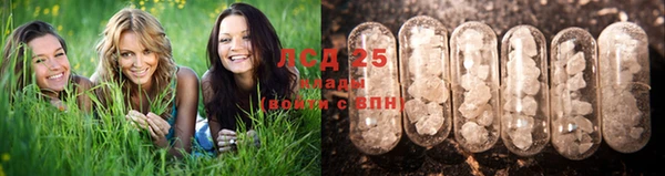 СК Алексеевка